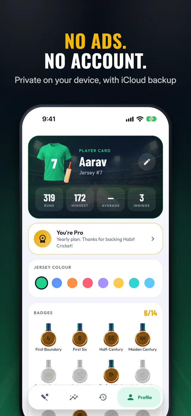 The profile, headed No ads. No account.: a player card with runs, highest score and innings, jersey colours and badges.